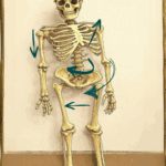 come nasce un pattern